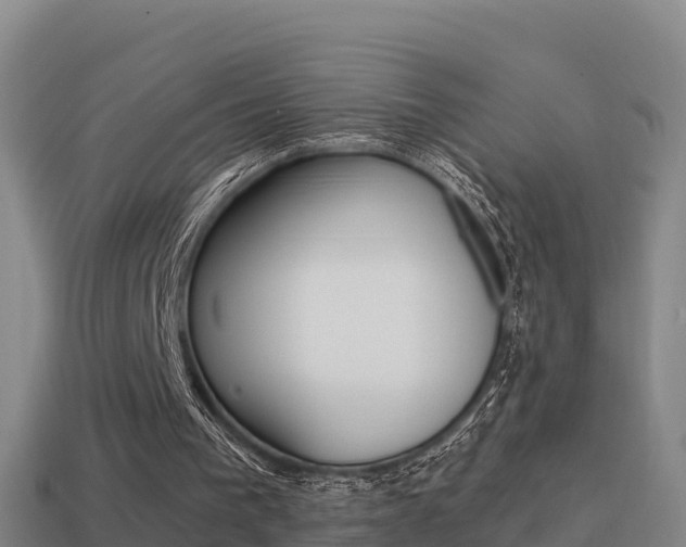 X0000114620193200910201009