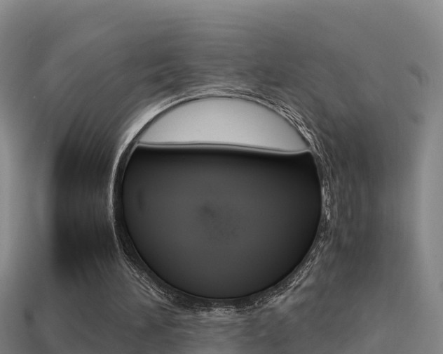 X0000114620196200910201009