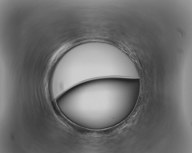 X0000114620197200910201009
