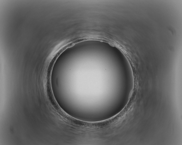 X0000114620199200910201009