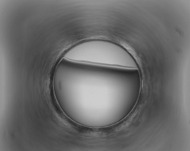 X0000114620201200910201009