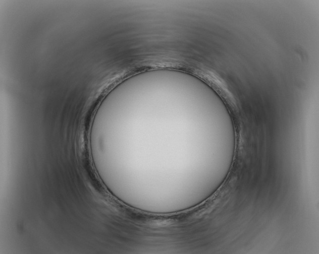 X0000114620202200910201009