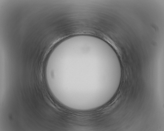 X0000114620203200910201009