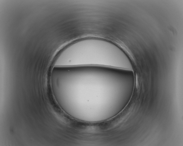 X0000114620204200910201008