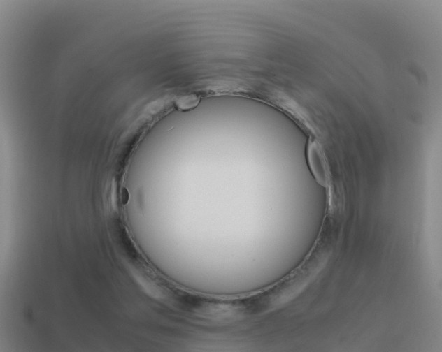 X0000114620205200910201008