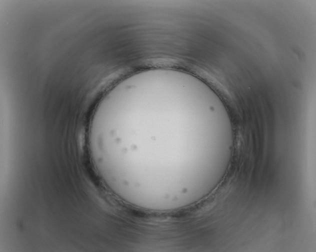 X0000114620206200910201008