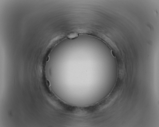 X0000114620207200910201008