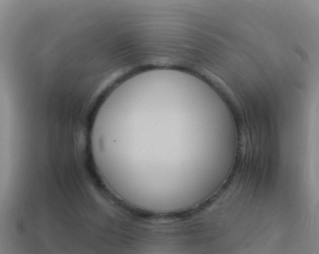 X0000114620208200910201008