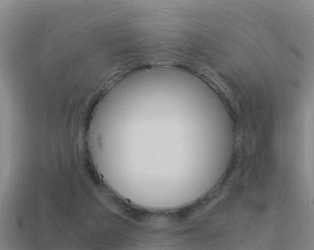 X0000114620209200910201008