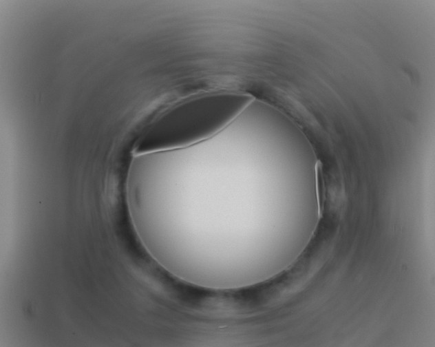 X0000114620211200910201008