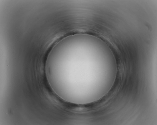 X0000114620212200910201008