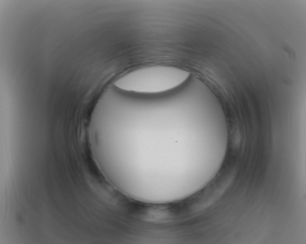 X0000114620214200910201008