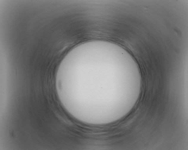 X0000114620215200910201008