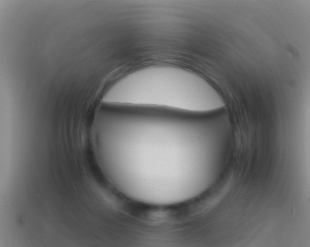 X0000114620216200910201008