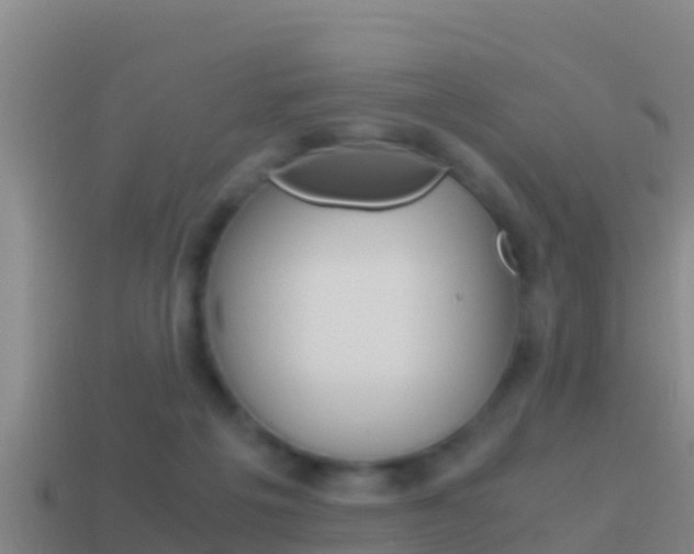 X0000114620217200910201008