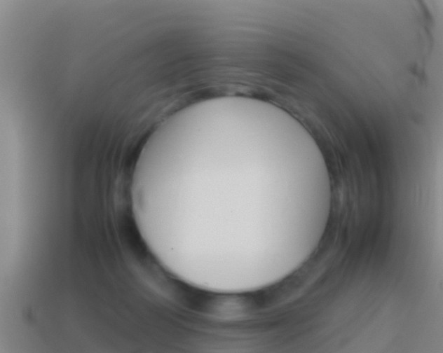 X0000114620218200910201008