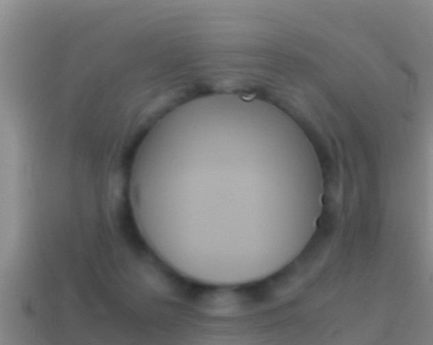 X0000114620219200910201008