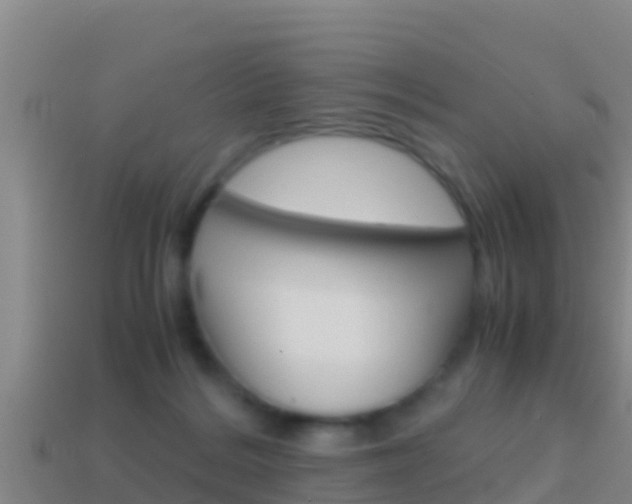 X0000114620220200910201008
