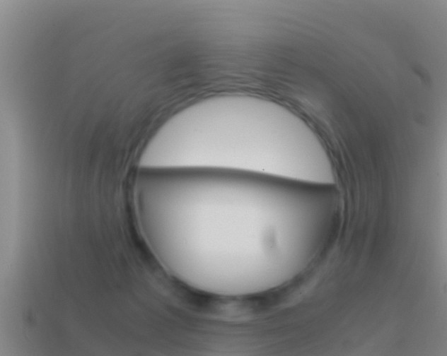 X0000114620221200910201008