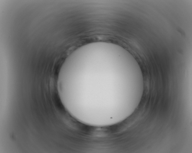 X0000114620222200910201008