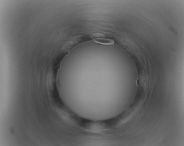 X0000114620223200910201008