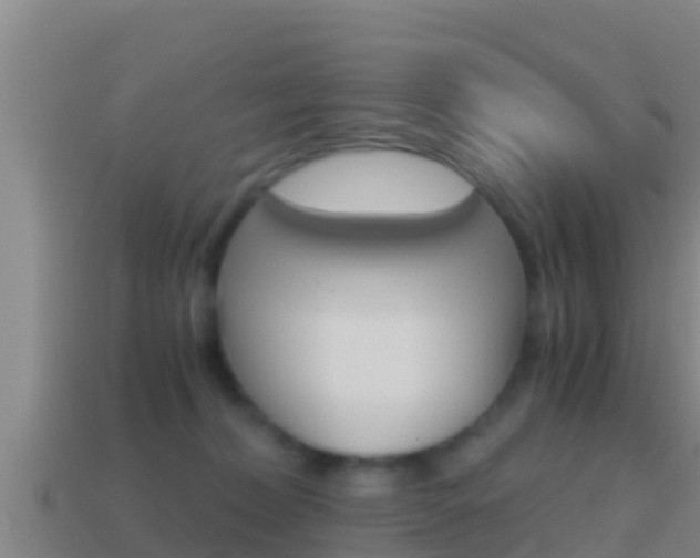 X0000114620228200910201008