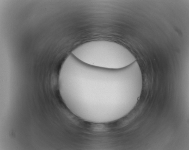 X0000114620230200910201008
