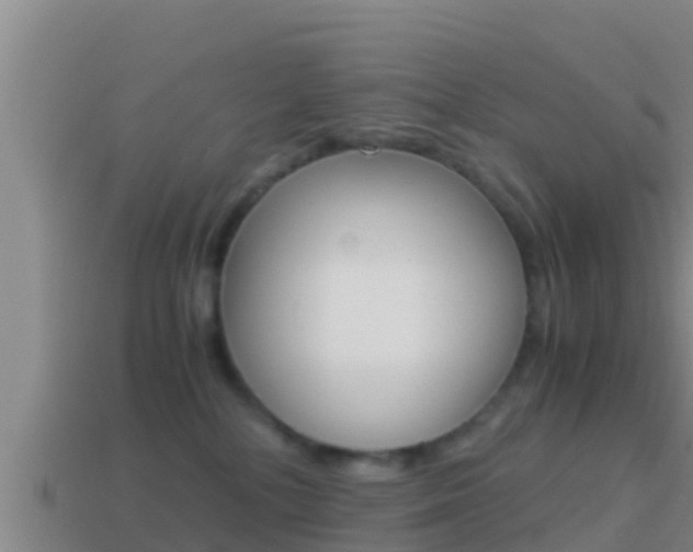 X0000114620232200910201008