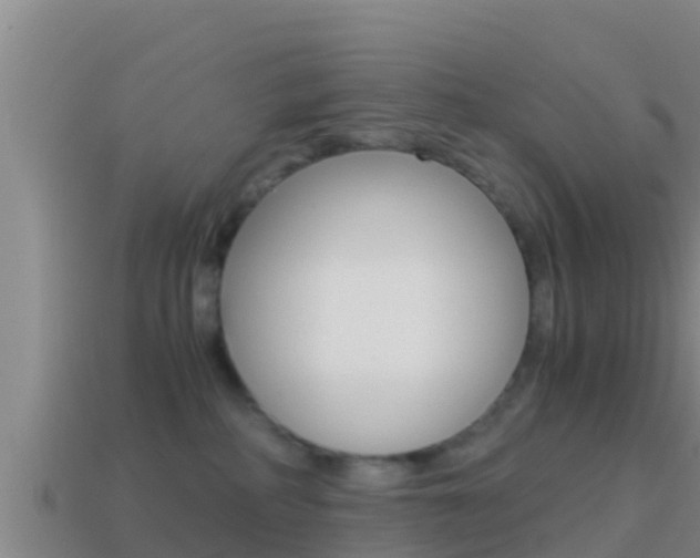 X0000114620234200910201008