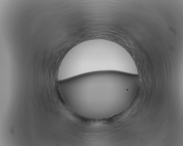 X0000114620235200910201008