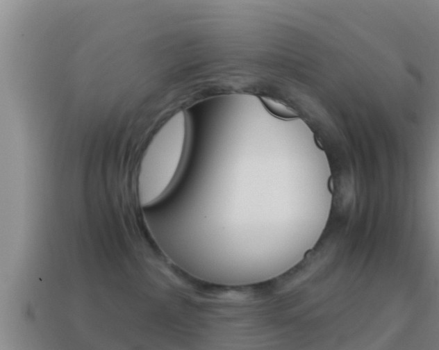 X0000114620236200910201008