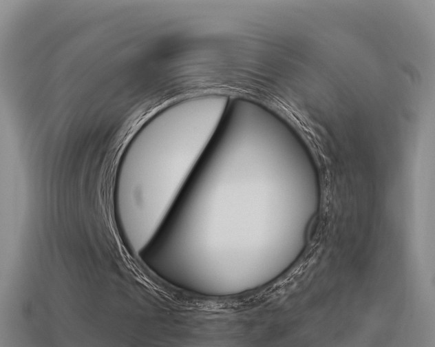 X0000114620241200910201007