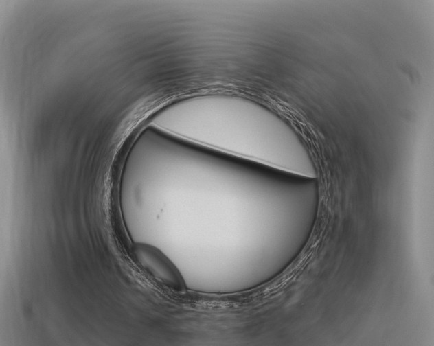 X0000114620242200910201007