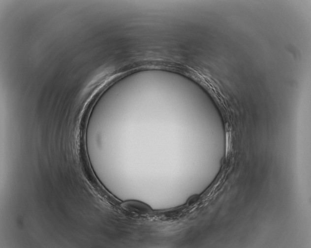 X0000114620243200910201007