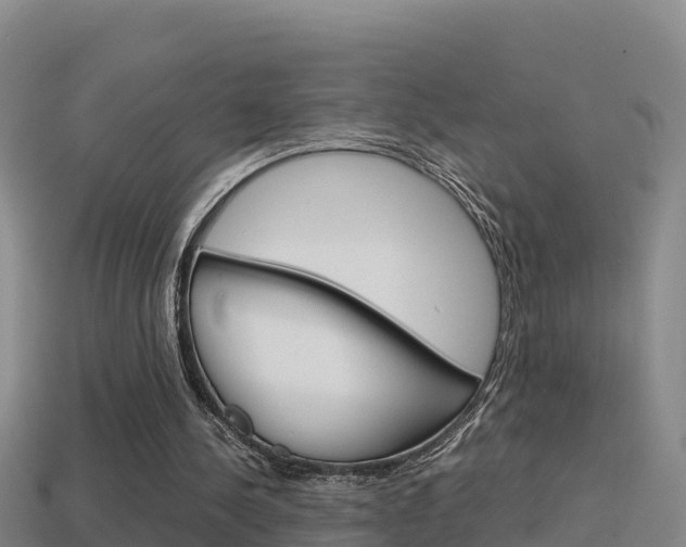 X0000114620244200910201007