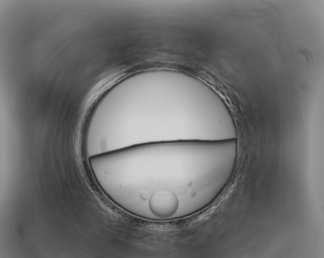 X0000114620245200910201007