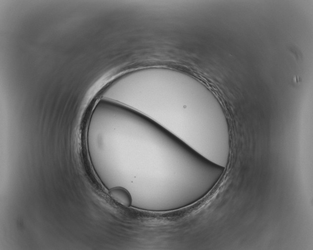 X0000114620246200910201007
