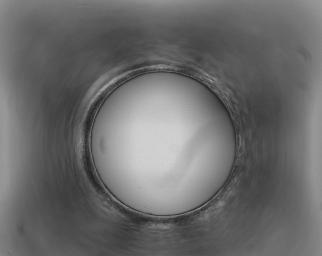 X0000114620247200910201007