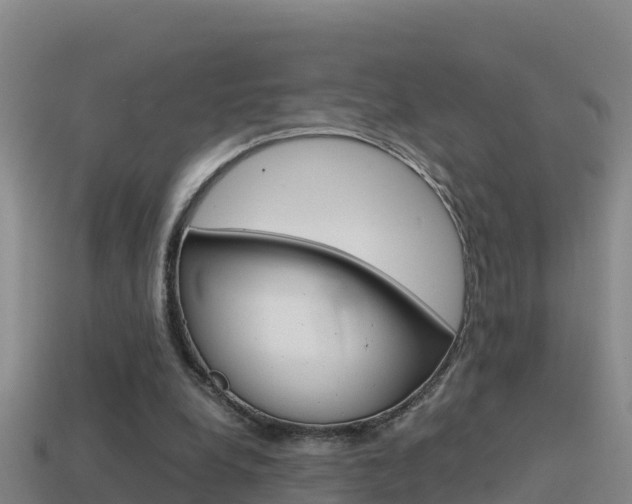 X0000114620248200910201007