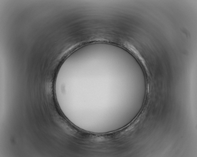 X0000114620249200910201007