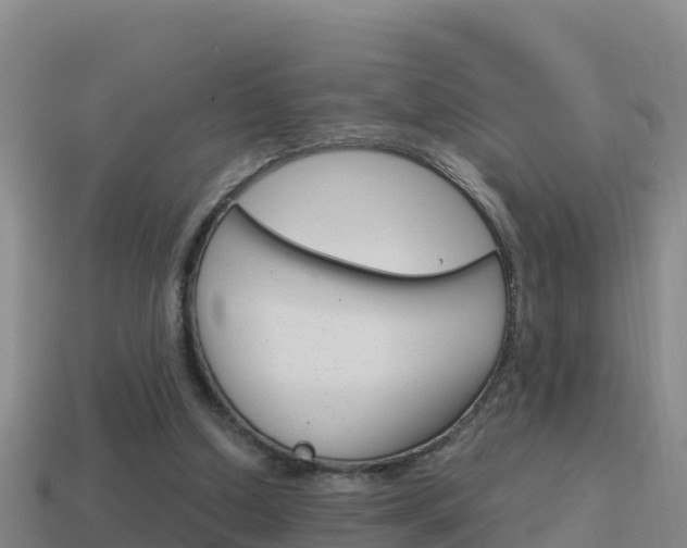 X0000114620250200910201007