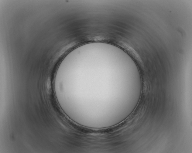 X0000114620251200910201007