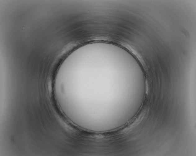 X0000114620253200910201007