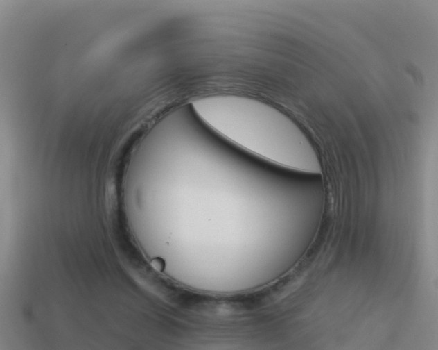 X0000114620254200910201007