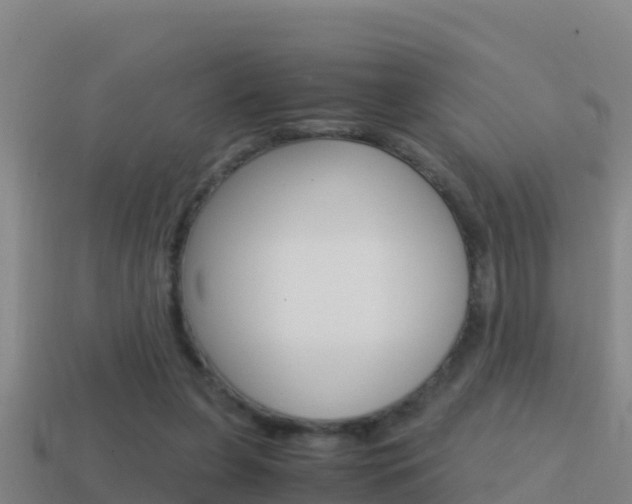 X0000114620255200910201007