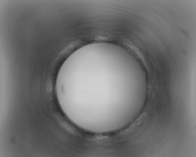 X0000114620257200910201007