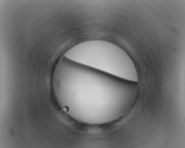 X0000114620258200910201007