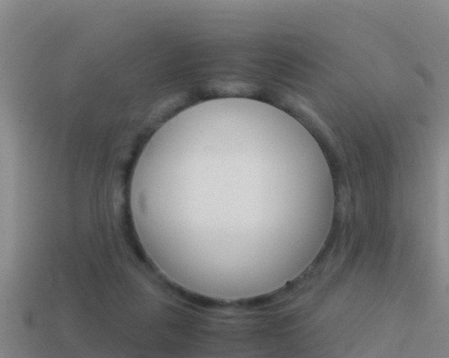 X0000114620259200910201007