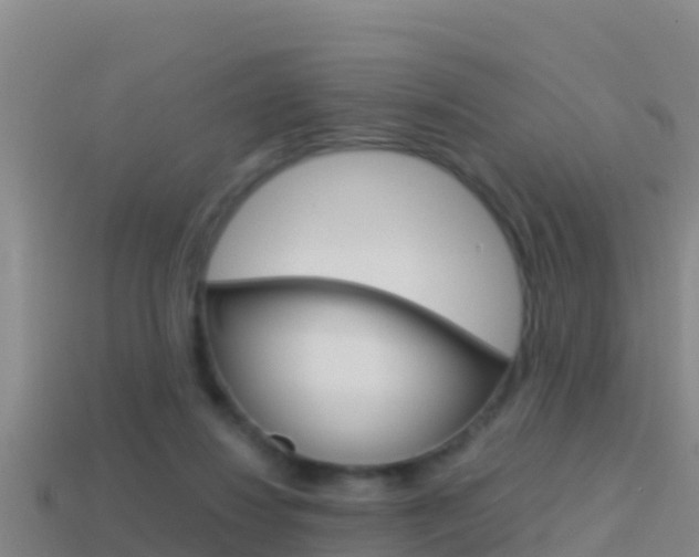 X0000114620260200910201007