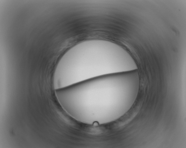 X0000114620261200910201008